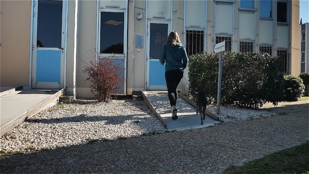 Clinique Veterinaire De L'olivier - photo 3