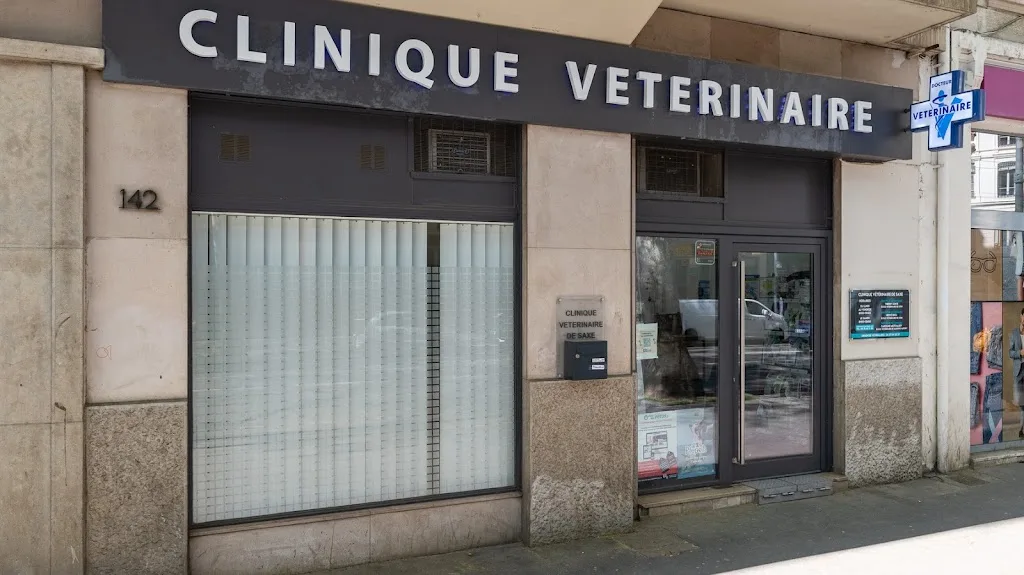SCANVET LYON - photo 2