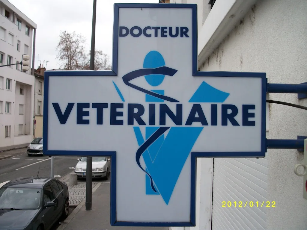 SCANVET LYON - photo 3