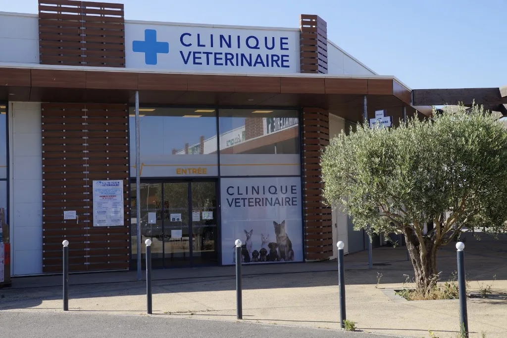 Cabinet vétérinaire de Saint Pons de Thomières - photo 3