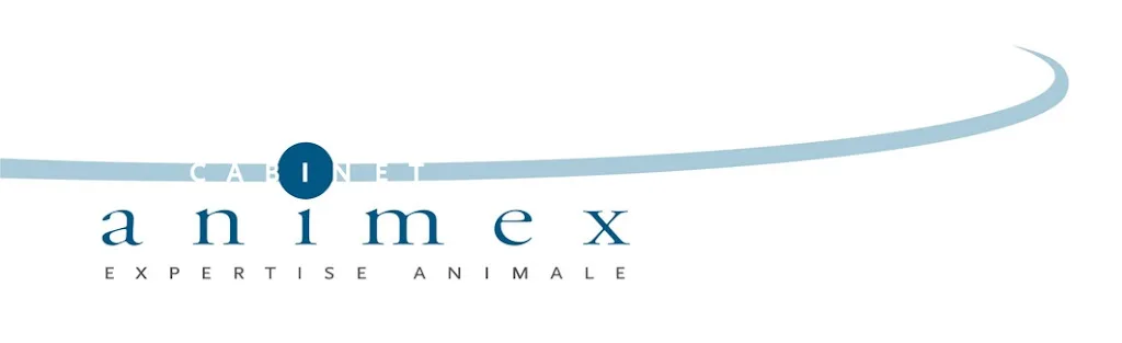 Cabinet Animex - photo 1