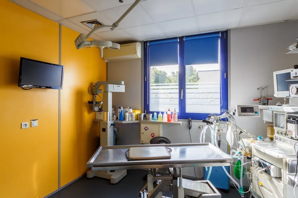 Clinique vétérinaire de la patte d'Oie - Montigny-lès-Cormeilles - Sevetys - photo 2