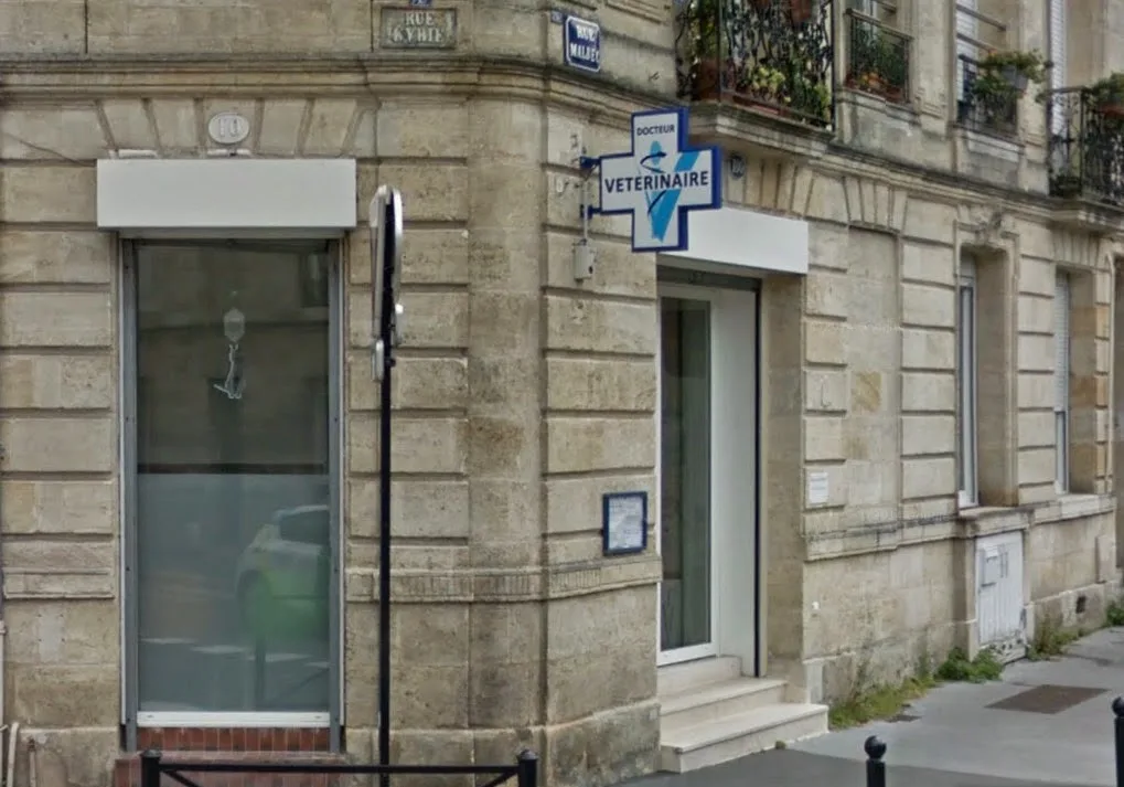 Cabinet Vétérinaire du Dr D. Cordonnier, à Bordeaux - photo 2