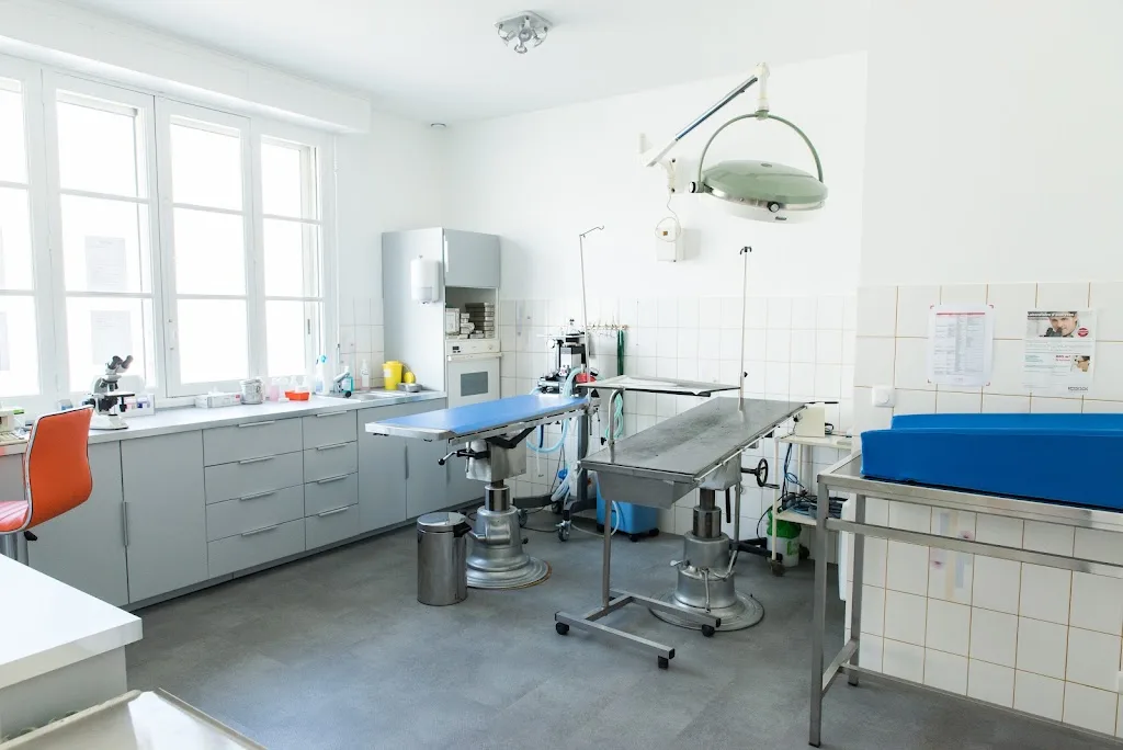 Clinique Vétérinaire du Forum - photo 1