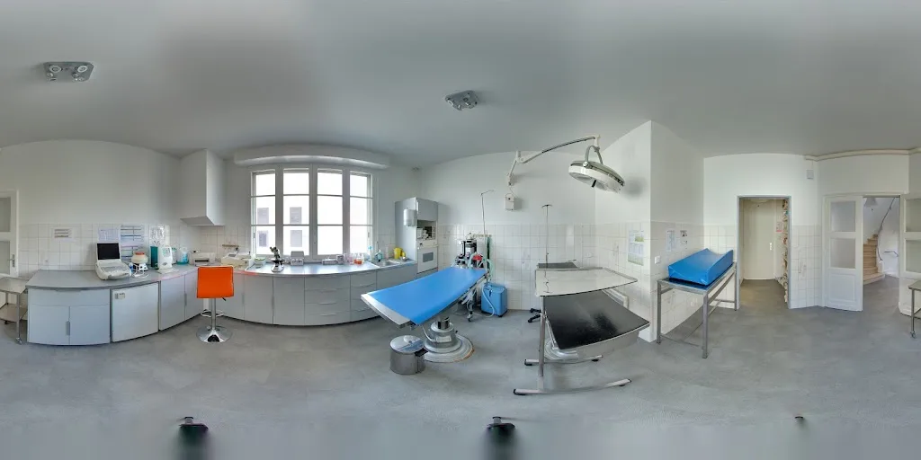 Clinique Vétérinaire du Forum - photo 2
