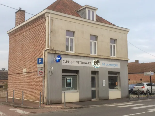 Clinique Vétérinaire de la Marque à Hem - Dr Delforge Philippe - photo 2