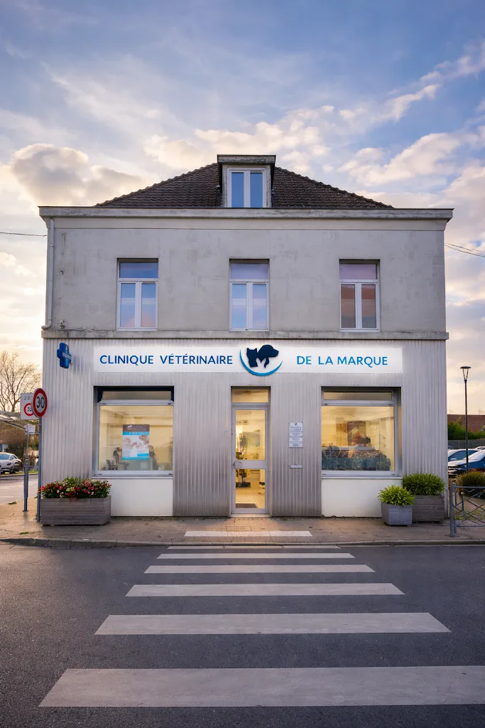 Ledoux Jean-Marie - photo 1