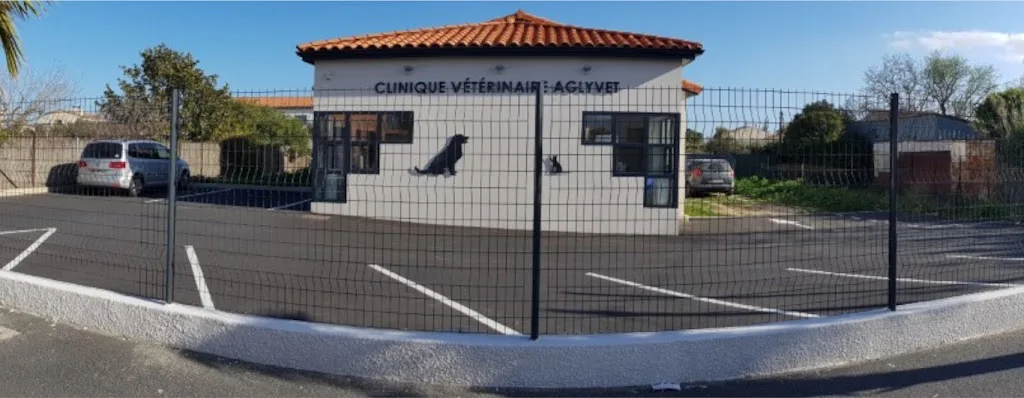 AglyVet - Ducup de St Paul & Guenin-Brasse - photo 1