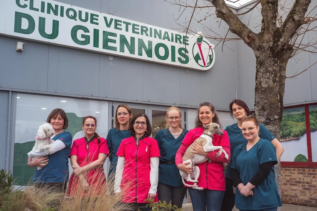 Clinique vétérinaire de Sully-sur-Loire - Sevetys - photo 3