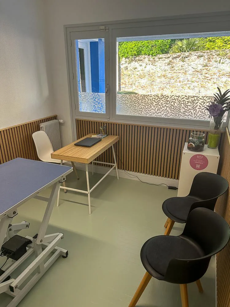 Clinique Vétérinaire Saint Herbot Chateaulin - photo 1