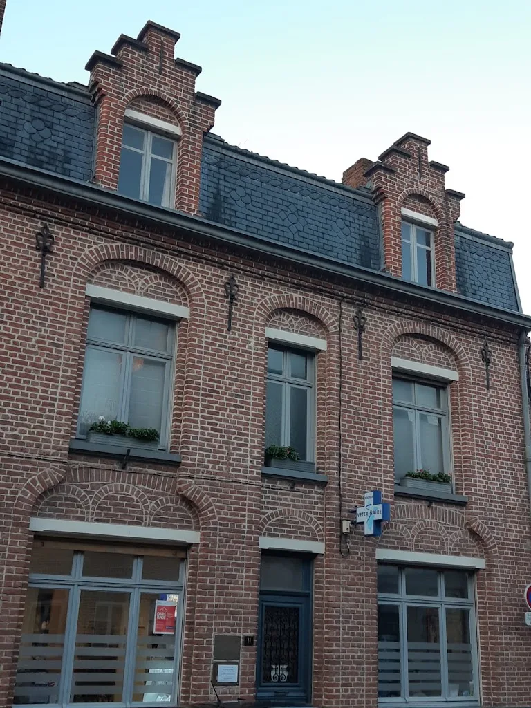 Spécialistes Porcs et Volailles - photo 1