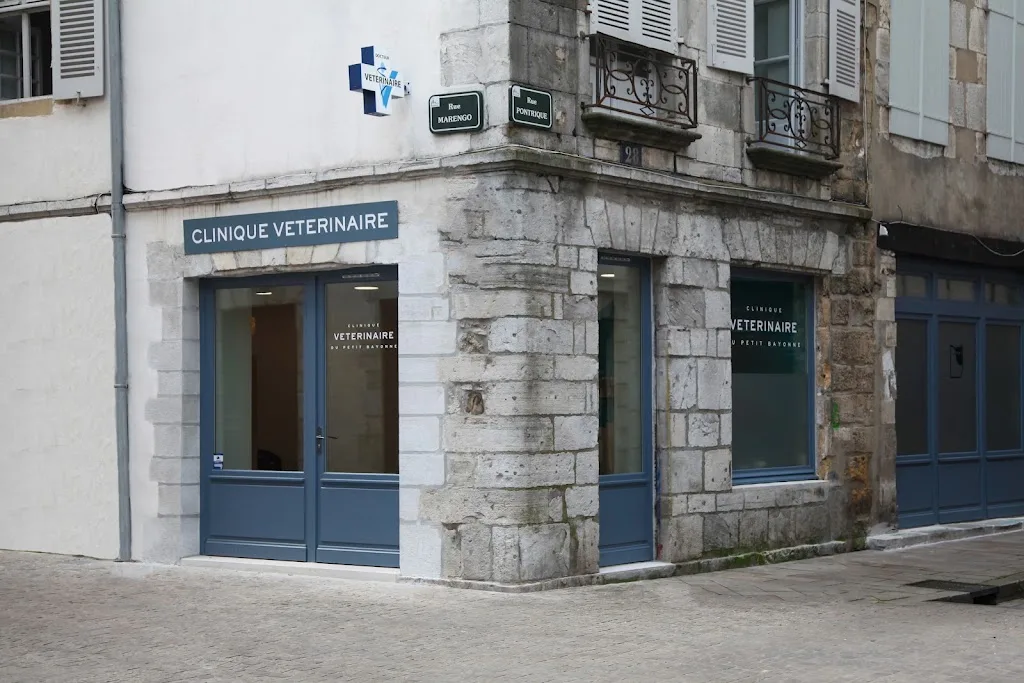 clinique vétérinaire - photo 1