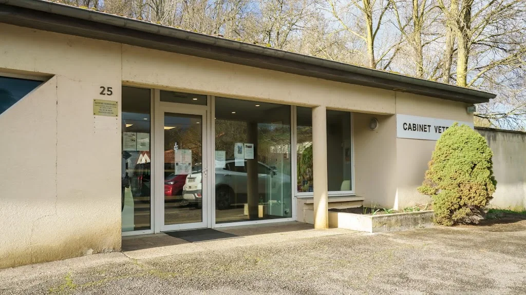 Vet4Wellness - photo 2