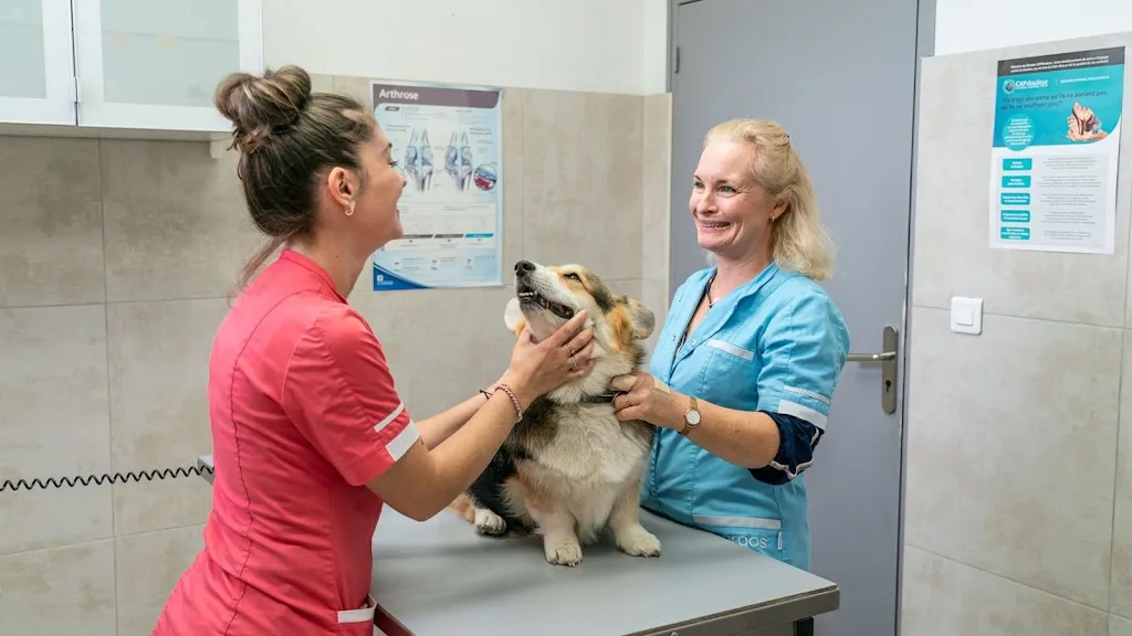 Clinique Vétérinaire L'Aurélienne Dr Lannes et Dr Portron - photo 2