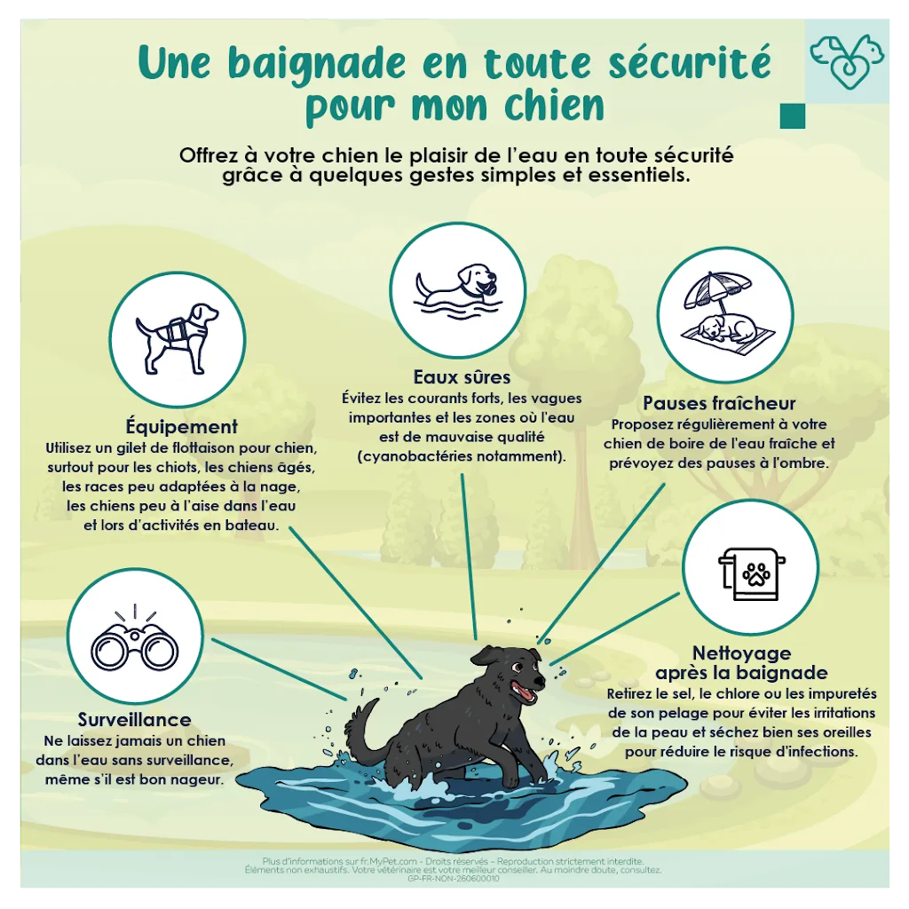 Clinique Vétérinaire de la Maison Bleue Selarl Grandjean - photo 2