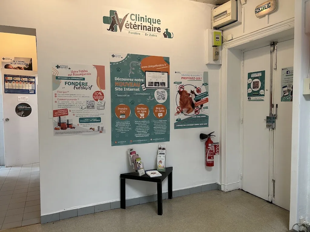 Eric Zahra - Clinique Vétérinaire Fondère - photo 1