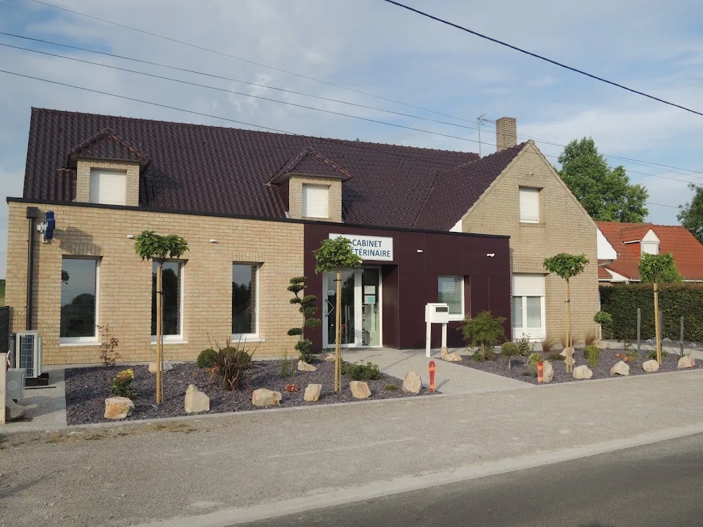 Docteur Hermans Michel - photo 2