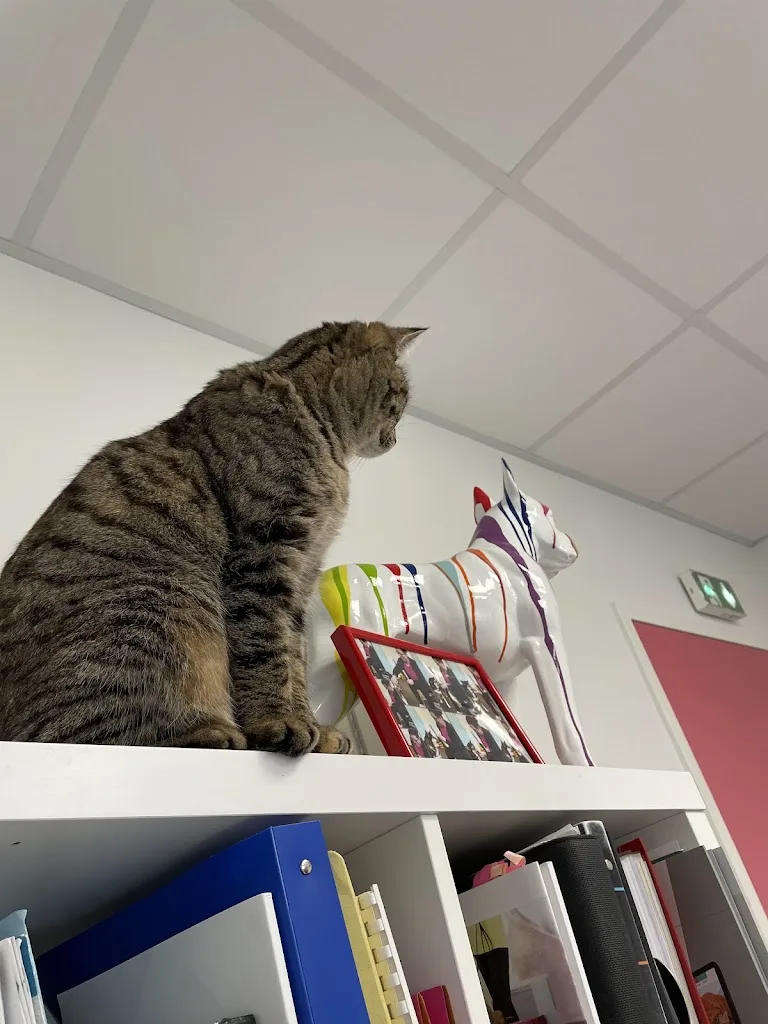 Clinique Vétérinaire de l'Andelle - photo 1