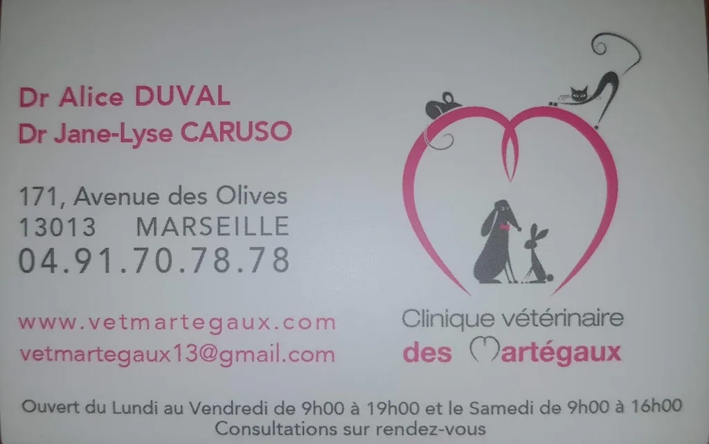 Clinique Vétérinaire des Martégaux - photo 3