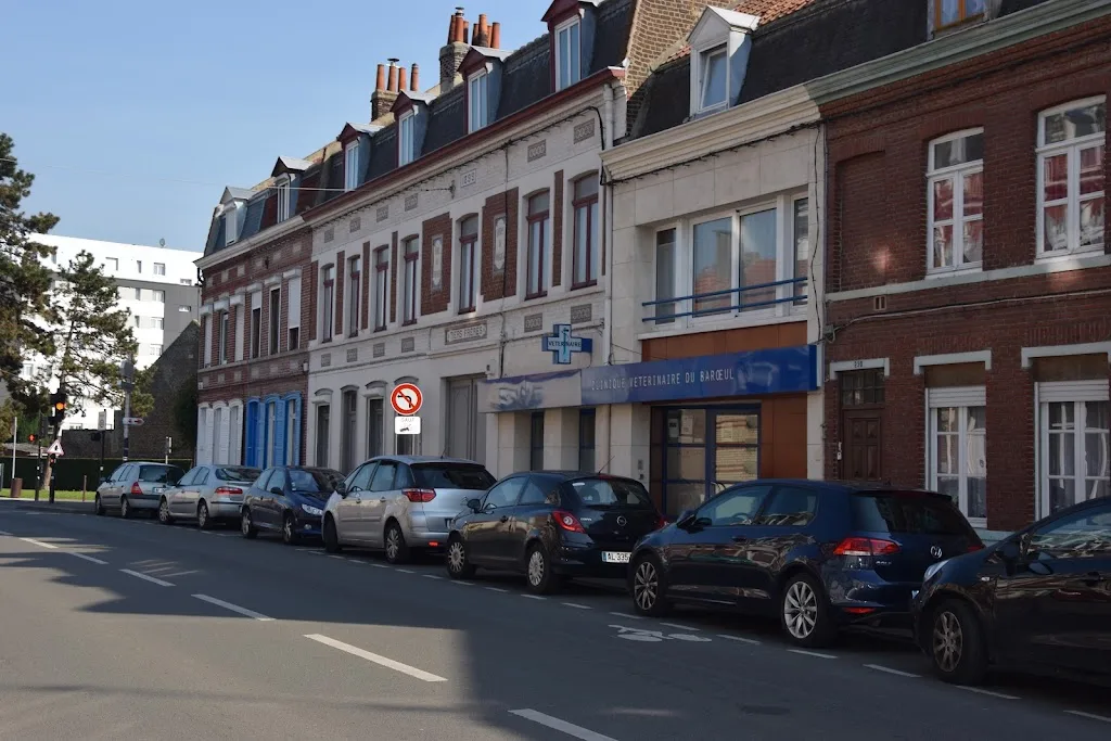 Clinique Vétérinaire du Barœul - photo 1