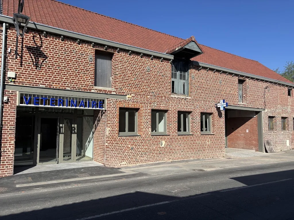 Clinique Vétérinaire de Wormhout - photo 3