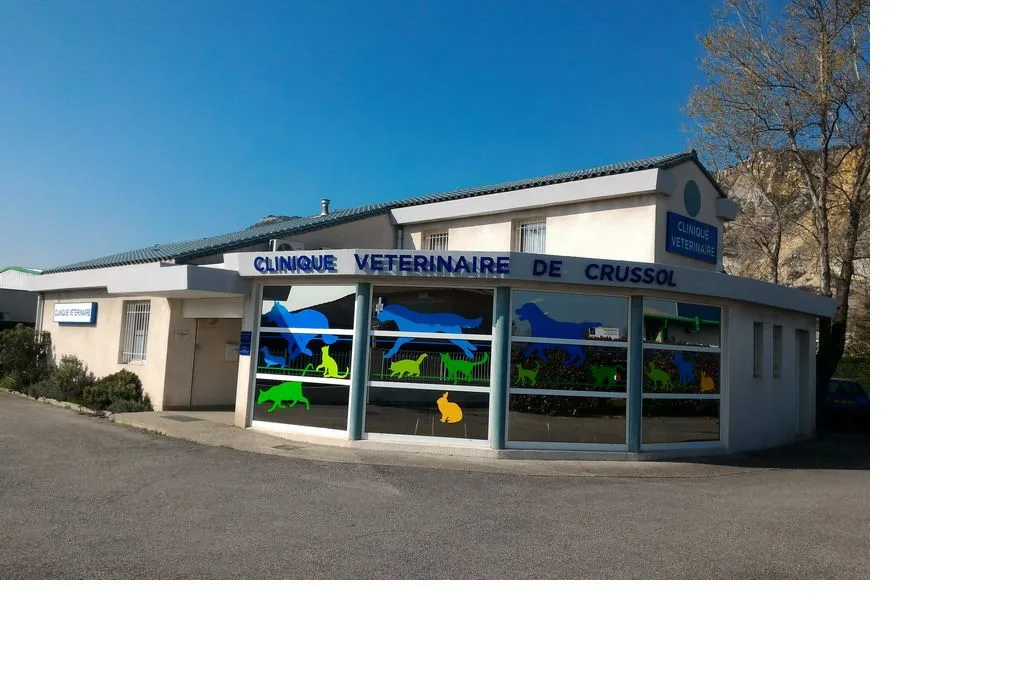 Clinique Vétérinaire de l'Arche - Pôle 2000 - Hydrokinevet - photo 3