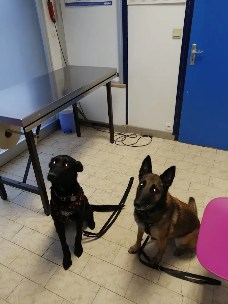 Clinique Vétérinaire Du Vallon Fleuri - photo 1