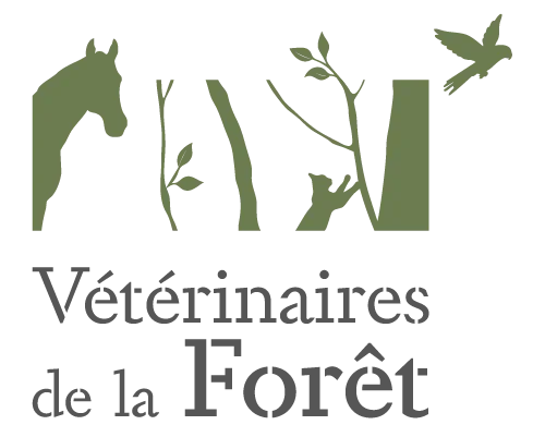 Vétérinaires de la Forêt - photo 1