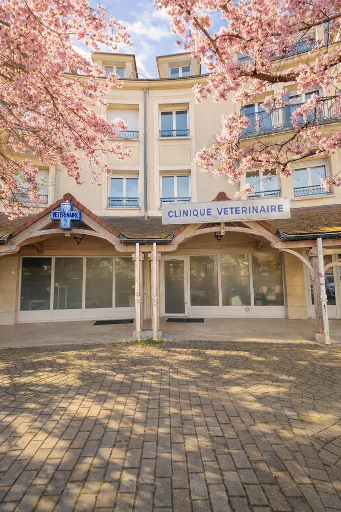 Clinique vétérinaire de Carrières sous Poissy - photo 2