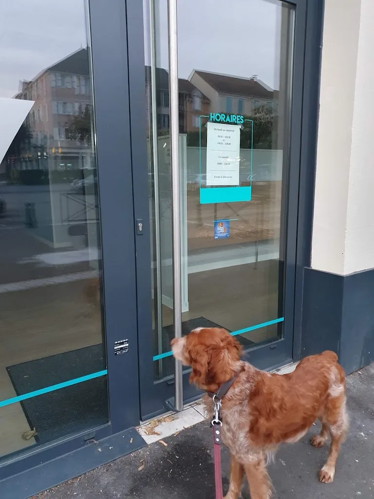 Clinique vétérinaire de Carrières sous Poissy - photo 3
