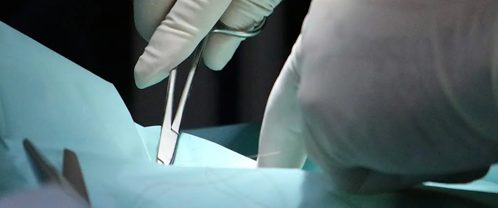Clinique Vétrinaire des Drs Ba - photo 1