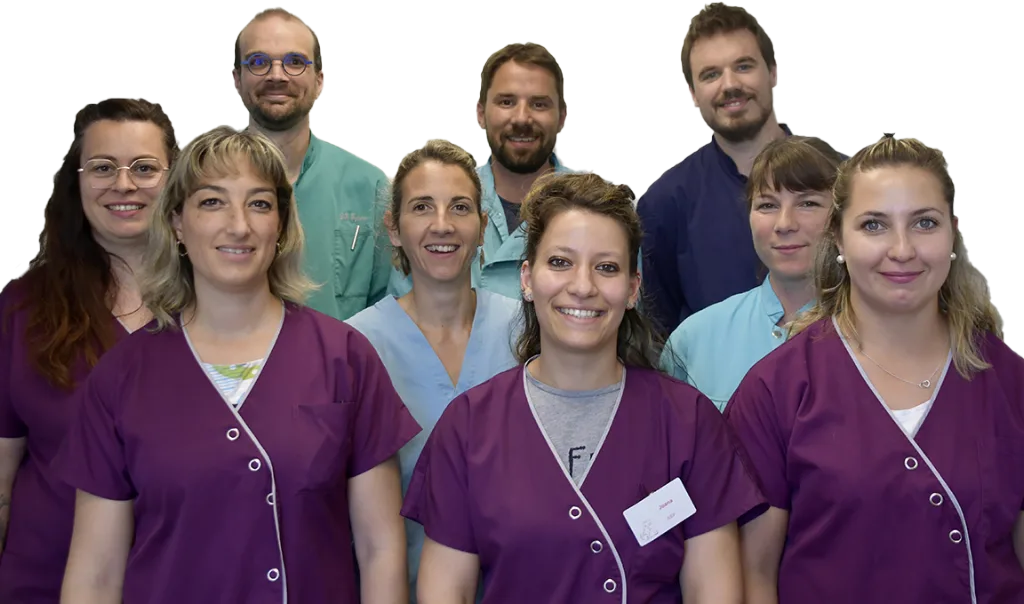 Clinique Vétérinaire VETALBIGEOIS - photo 2