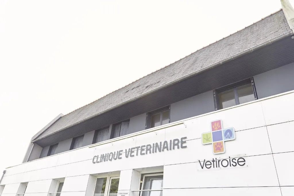 Clinique équine de Landivisiau - photo 1