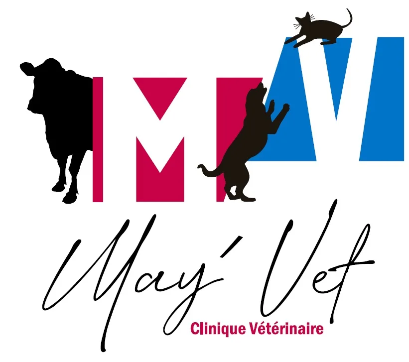 May'Vet Clinique Vétérinaire - photo 1