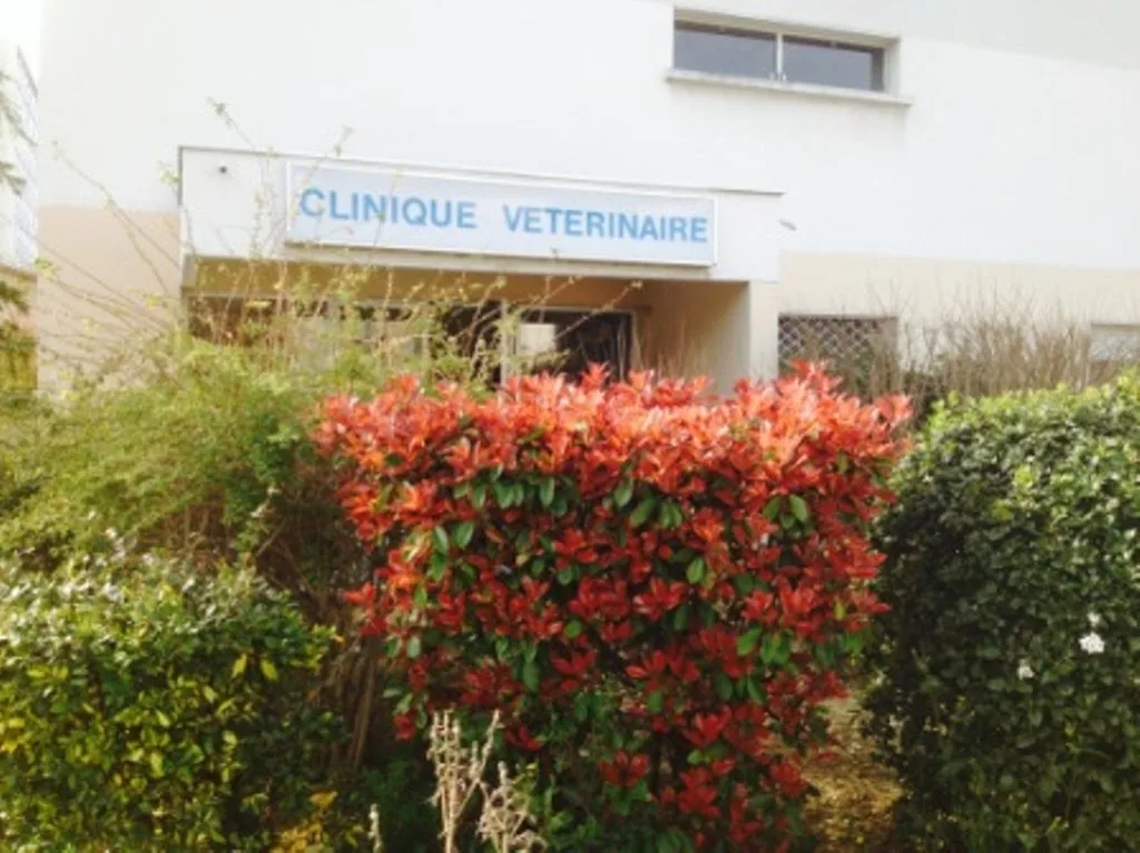 Clinique Vétérinaire de Trion - photo 1