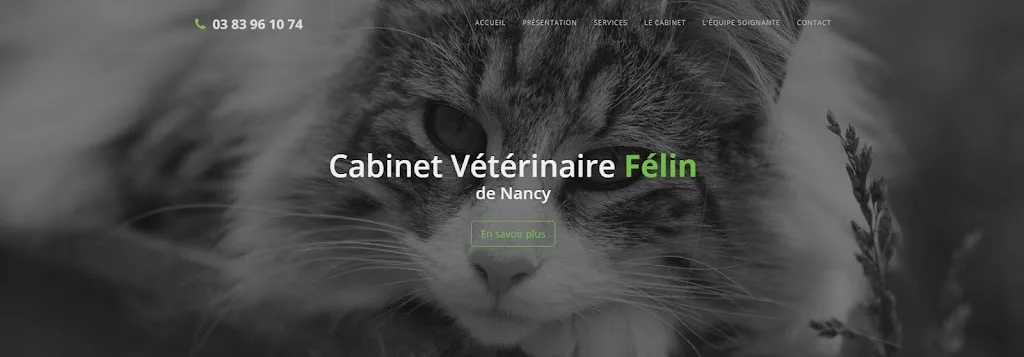 Mon Chat et Moi, vétérinaires à Essey-lès-Nancy (Nancy Est) - photo 1