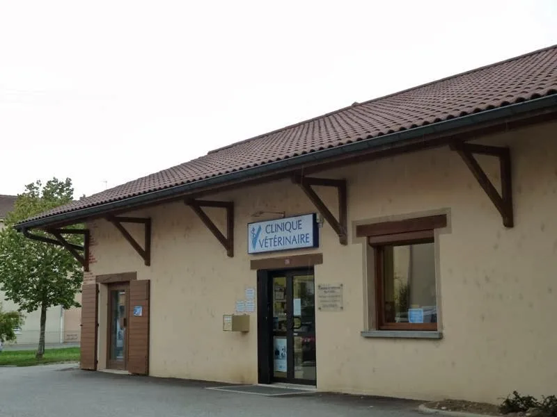 Clinique Vétérinaire des Allées - Marboz - photo 3