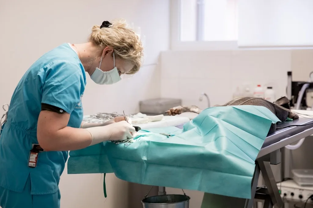 Clinique Vétérinaire de l'Europe - Docteurs Carpentier et Ladous - photo 3