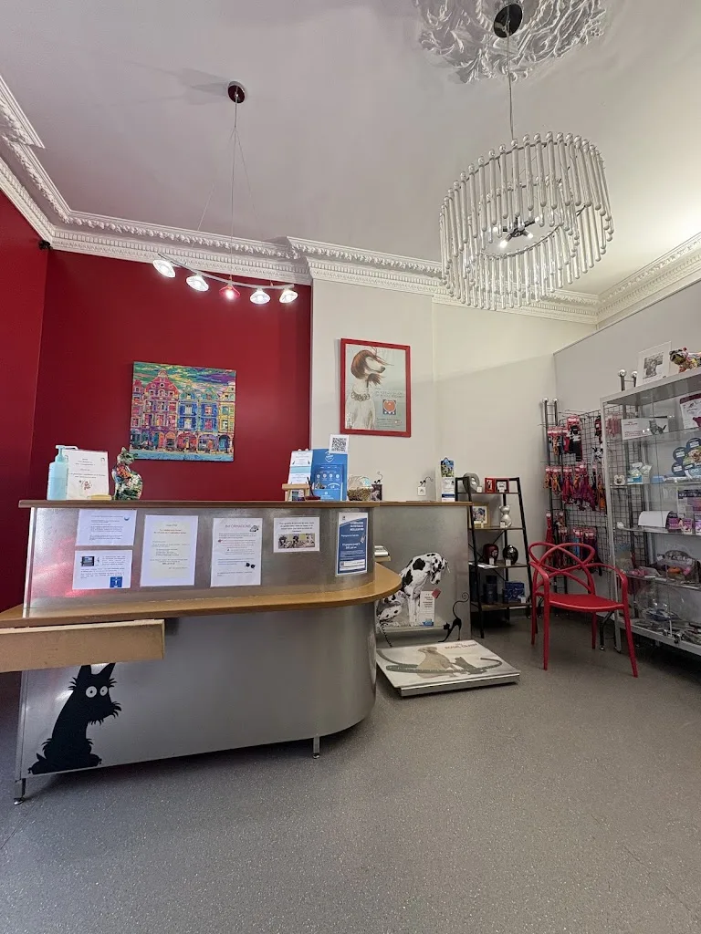 Clinique Veterinaire Des Allees - photo 3