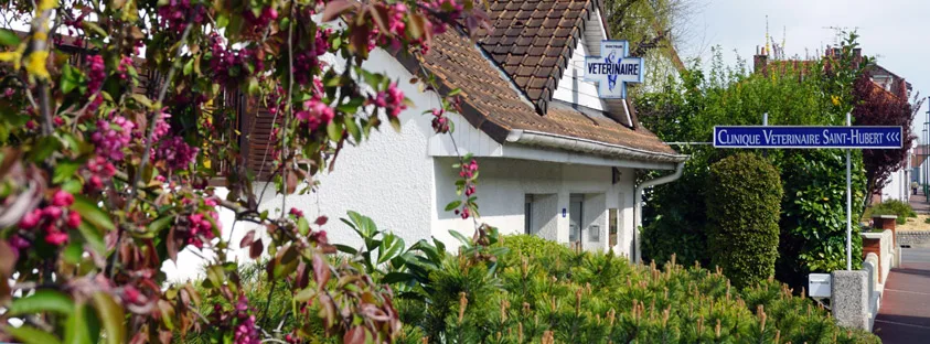 Crv - photo 1