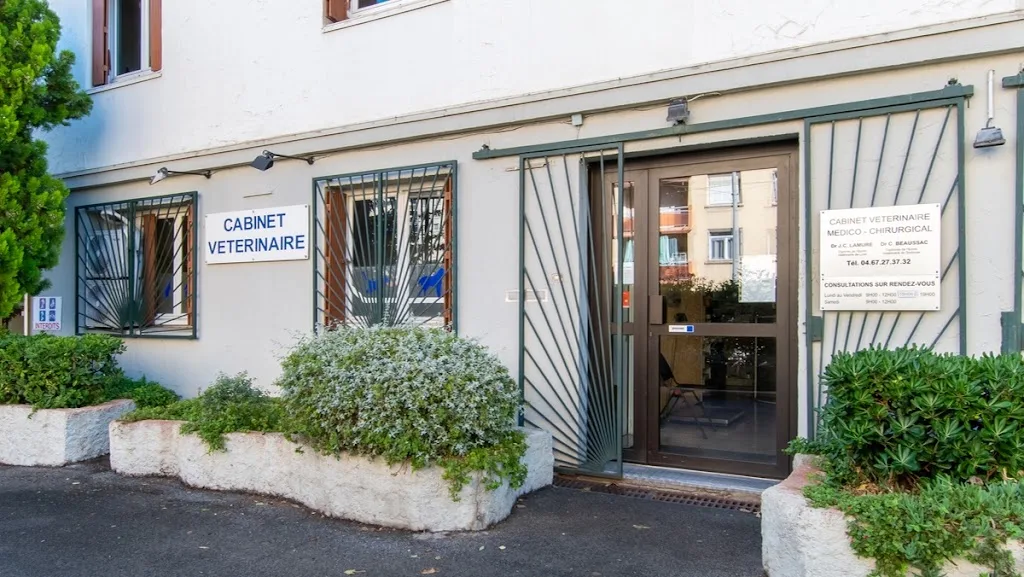 Convergence Vétérinaires Montpellier - photo 1