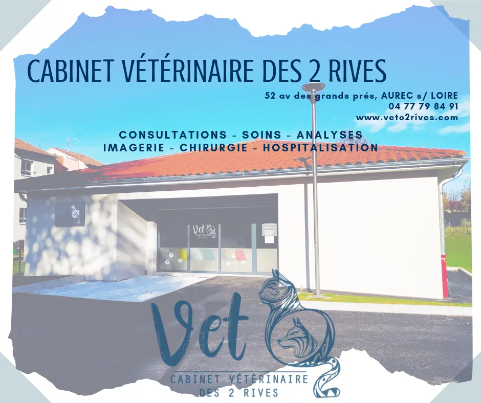 Cabinet vétérinaire de Saint-Didier-en-Velay - photo 2