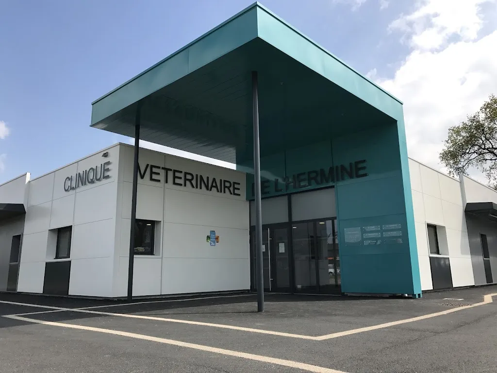SELARL Vétérinaires Gaëtan Gaullier - Vétérinaires Equins - photo 2