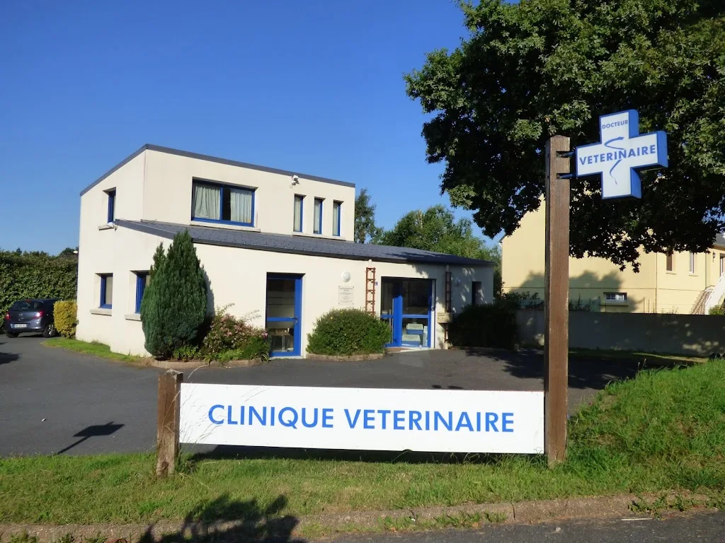CHENE VERT LES ENCLOS (Porcin) - photo 2