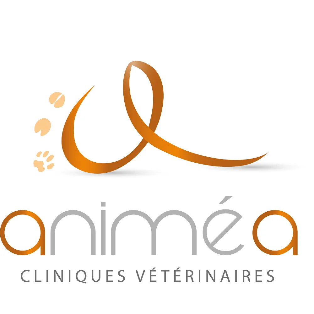 Cliniques Vétérinaires Animéa, Site des Grands Animaux : Chevaux, Bovins - photo 1