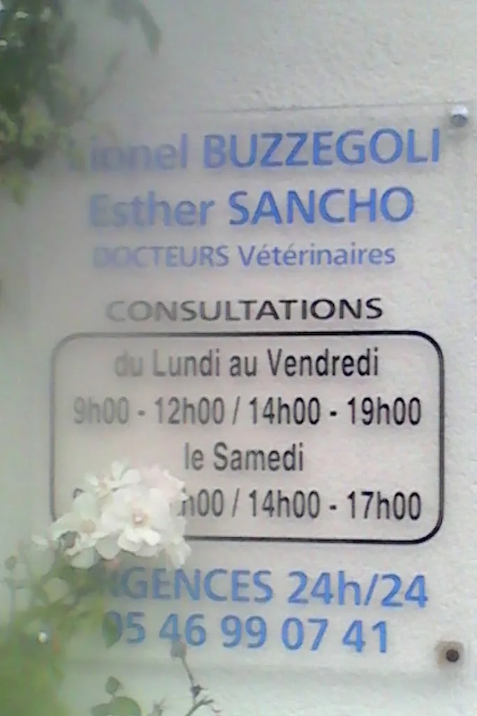 Vétérinaire de l’Arsenal Dr. MIGHELI Gianfranco - photo 3