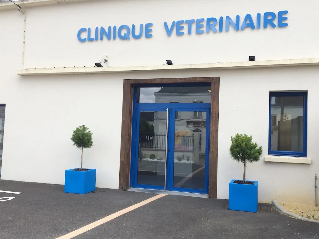 Sci 5 Rue de la Cloche - photo 1