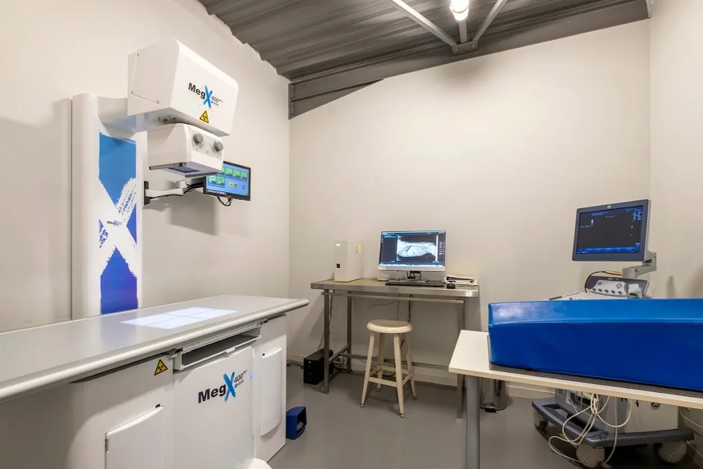 Clinique vétérinaire de l'Arnoult - Pont-l'Abbé-d'Arnoult - Sevetys - photo 2