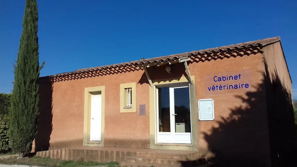 Clinique vétérinaire du Comtat - photo 2
