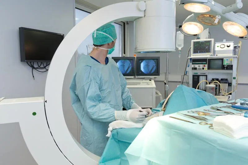 Clinique Vétérinaire LC Vet - photo 3
